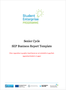 senior business report template